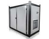 ТСС АД-12С-Т400-2РНМ5 в контейнере с АВР